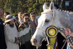 Sixteen a rincezna Anna