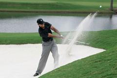 Nejlepší fotografie Reuters