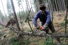 Dělník s pilou v lese