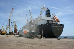 Větrná elektrárna na pobřeží Černého moře