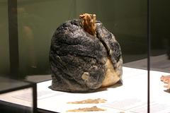 Výstava Bodies v pražské Lucerně