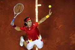 Servis Davida Ferrera