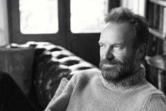 Sting