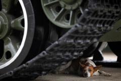 Nejlepší fotografie Reuters