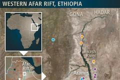 Ardipithecus ramidus