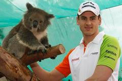 Adrian Sutil v zoo s koalou