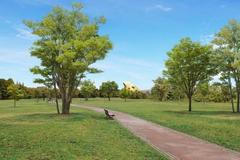 Vizualizace Kaplického knihovny