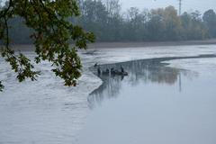 Výlov Semovického rybníka