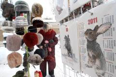 Začíná rok králíka