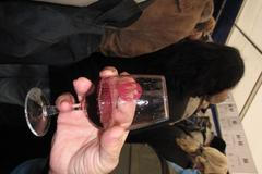 Svatomartinský košt v Brně