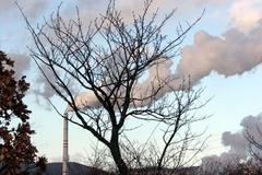 Elektrárna Prunéřov