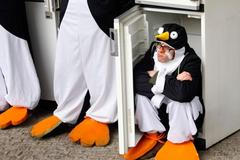 Globální oteplování: Přežijí tučňáci jen v ledničkách?