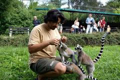 Ošetřovatelem v ZOO