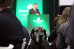 Sjezd Strany zelených v Brně