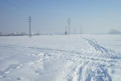 Mráz - ilustrační foto