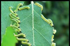 Fotografická soutěž - les