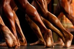 MS v kulturistice - Maďarsko