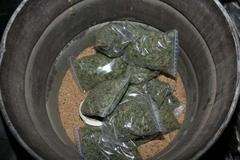 Marihuana zabavená při domovní prohlídce ve Veverských Knínicích.