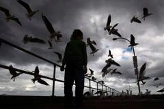 Nejlepší snímky měsíce