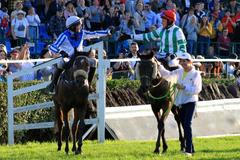 Velká Pardubická 2019: Josef Bartoš a Theophilos