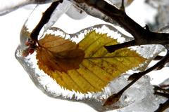 Sníh v Kroměříži