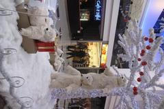 Vánoční nákupy 2010