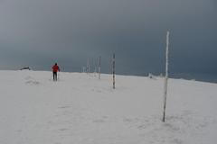 Mráz v Krkonoších