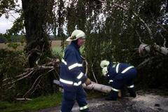 Popadané stromy po bouřkách