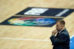 Basketbal: Česko - Argentina