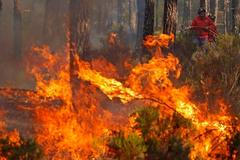 Požáry v Portugalsku