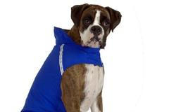 Suvenýry z Vancouveru 2010