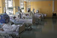 Transplantace ledviny od kamarádky