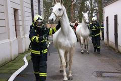 Hasiči cvičili zásah v zoo