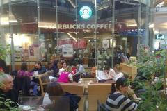 Předvánoční nákupy