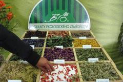 Výroba bio čajů Čejkovice