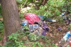 Odpadky v lese