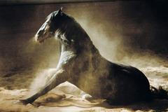 Czech Press Photo - Příroda