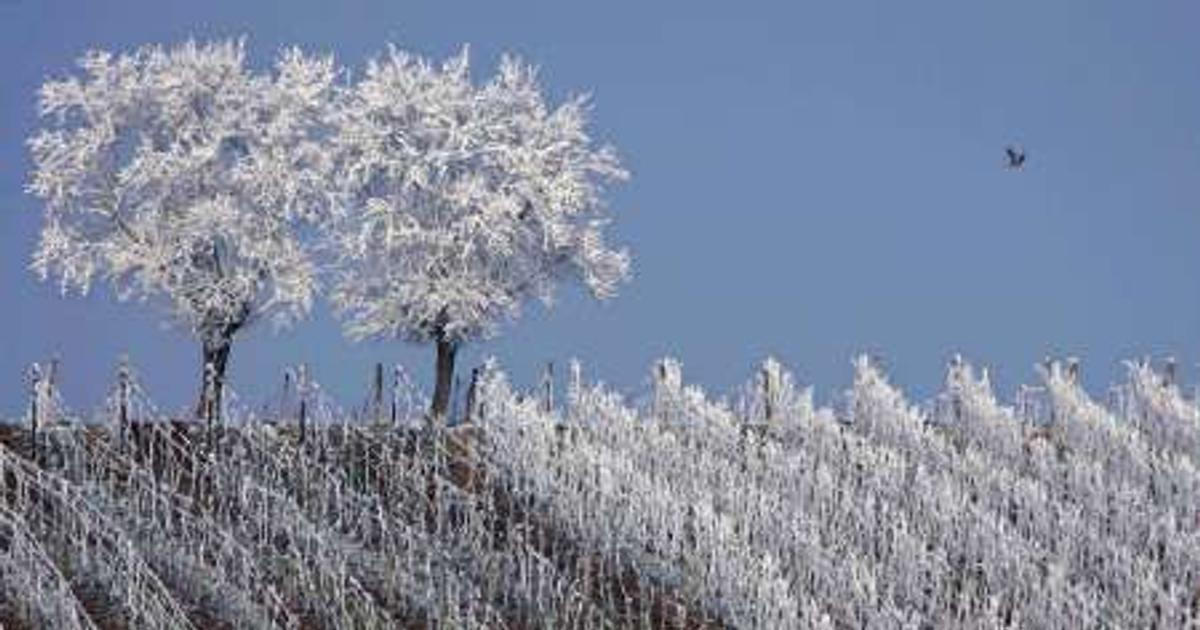Česko čekají ledové dny, teploty padnou až k minus šestnácti. Na víkend se ale oteplí