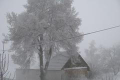 Sníh v Prostějově