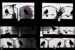 Nejlepší snímky měsíce