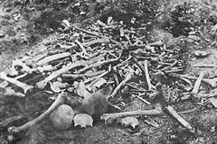 Ostatky Arménů povražděných Osmany mezi lety 1915 až 1918