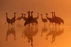 Nejlepší fotografie Reuters