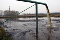 Popeliště ve Dvoře Králové