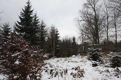 Brdo, kde měl stát radar