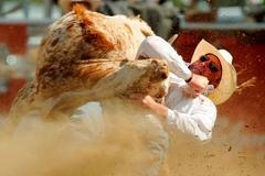 Kovbojské rodeo v kanadském Stampede