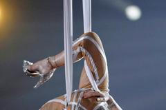 52. Předávání hudebních cen Grammy - Pink