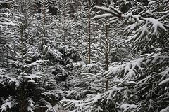 Brdo kde měl stát radar