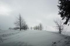 Kalamita na Bruntálsku: neprůjezdná silnice směrem do Razové