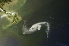 Ropná skvrna v Louisianě