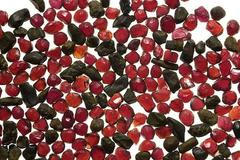 Pyrop - český granát